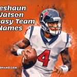 deshaun watson fantasy team names