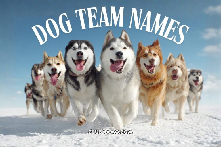 dog team names