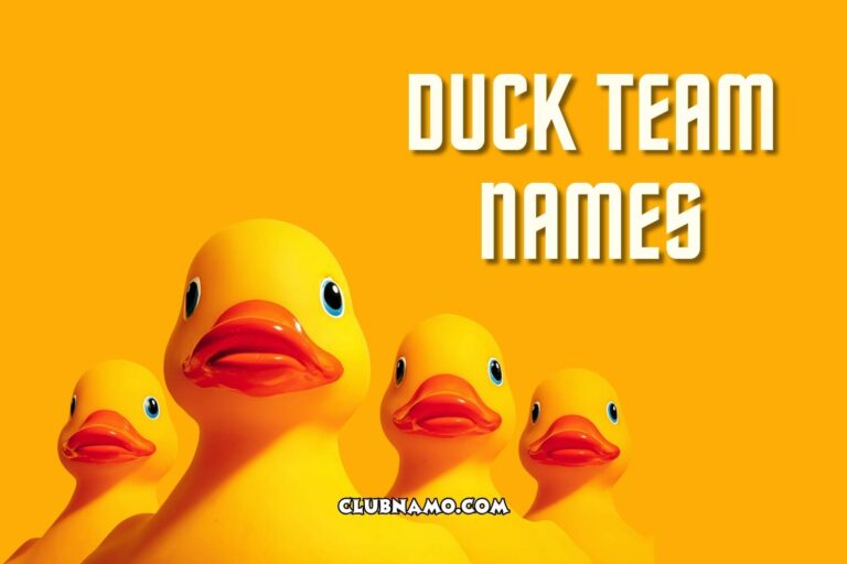 duck team names